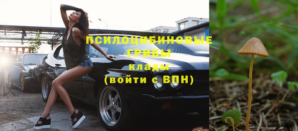 крисы Баксан