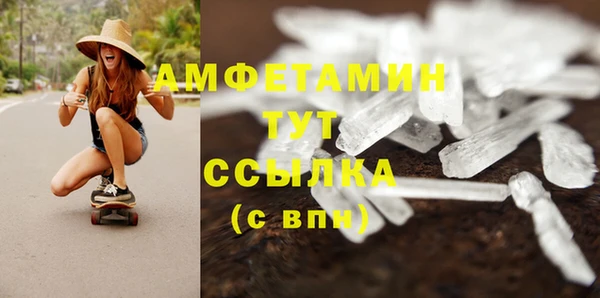 крисы Баксан