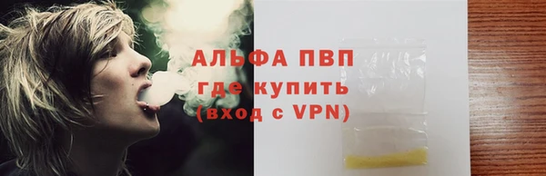 сатива Белокуриха