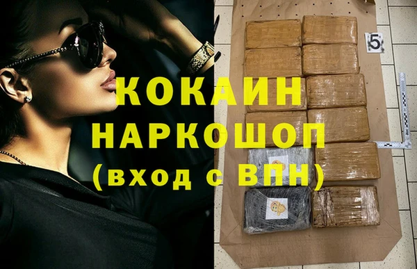 сатива Белокуриха