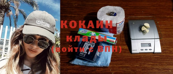 сатива Белокуриха