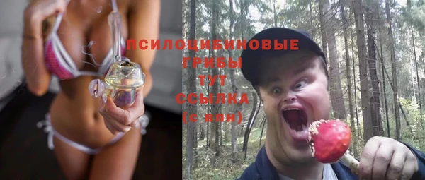 сатива Белокуриха