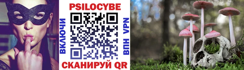 Псилоцибиновые грибы Magic Shrooms Краснокаменск